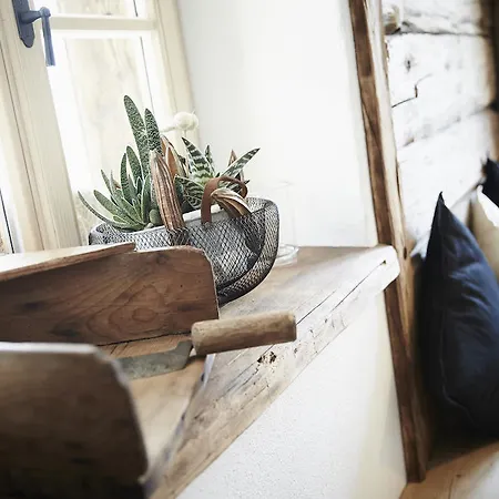 בקתה Auhaeuslgut סאלפלדן אם שטיינרן מיר