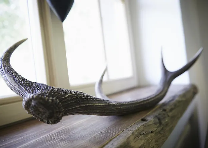 Domek alpejski Auhaeuslgut *