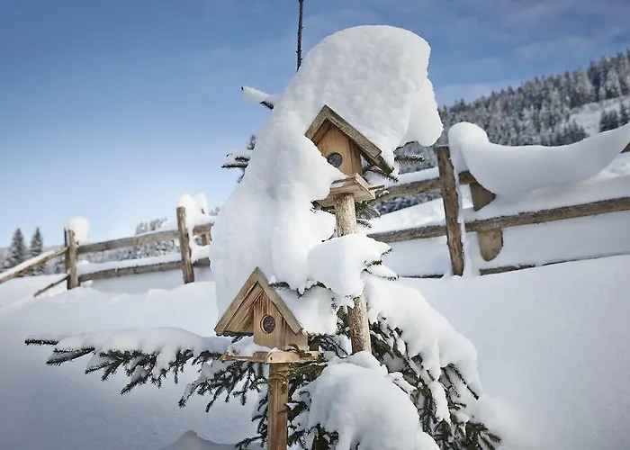 Auhaeuslgut Domek alpejski *
